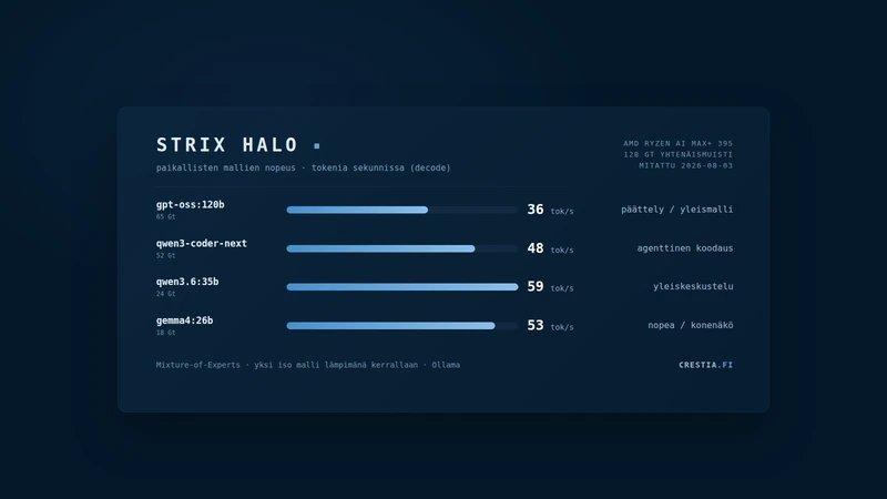 Mikä on Strix Halo? Puoli vuotta paikallisia kielimalleja AMD:n laitteistolla