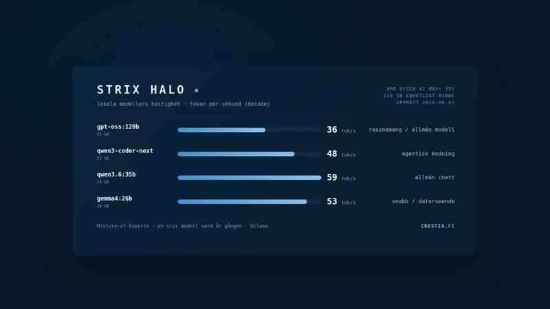 Vad är Strix Halo? Ett halvår med lokal AI på AMD-hårdvara